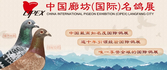2023廊坊鴿展